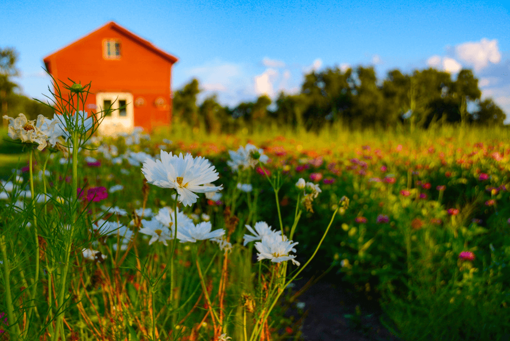 Farm and Ranch Insurance Quote Lawrence, KS Lawrence